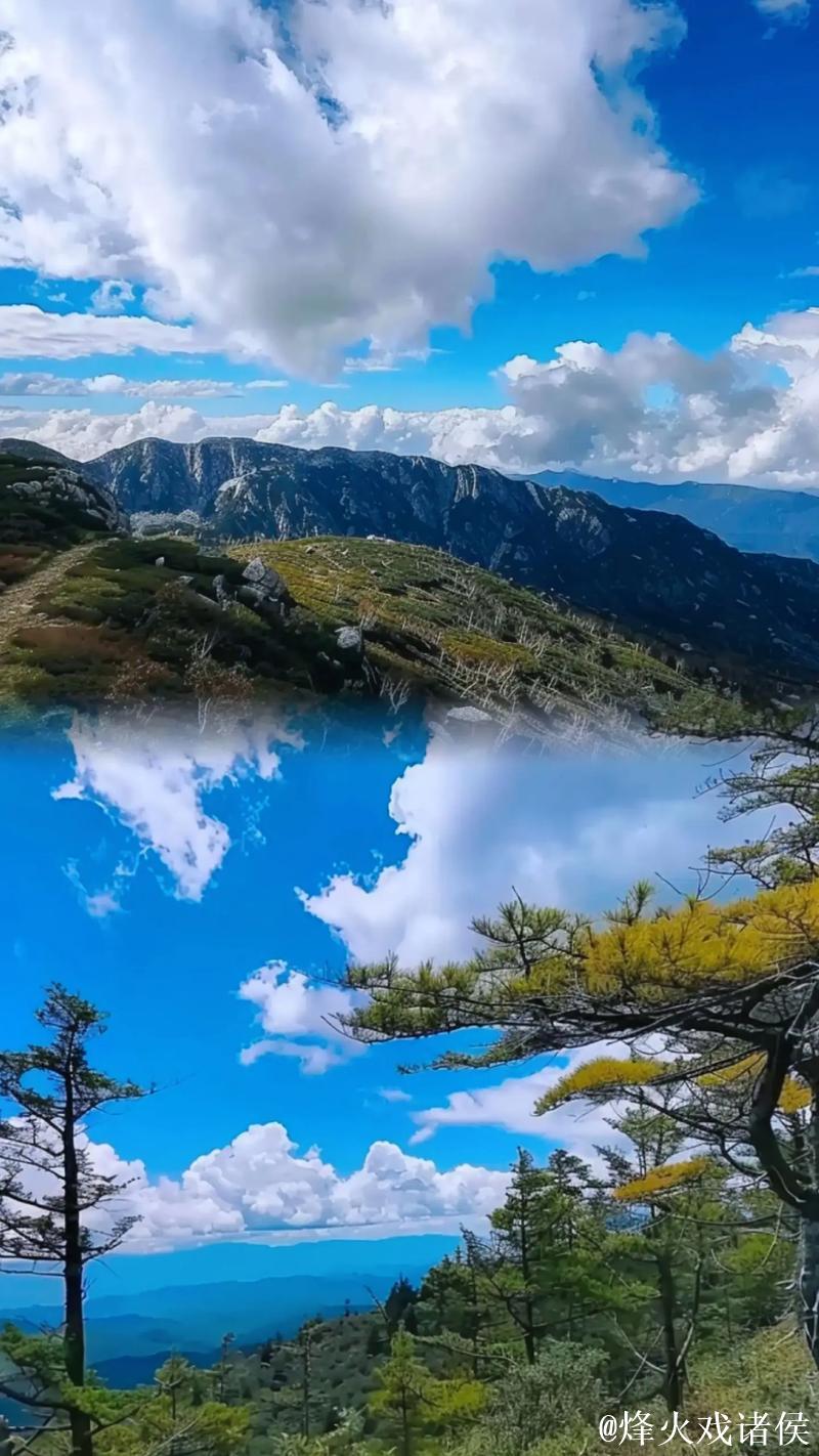 1024手机在线看视频片